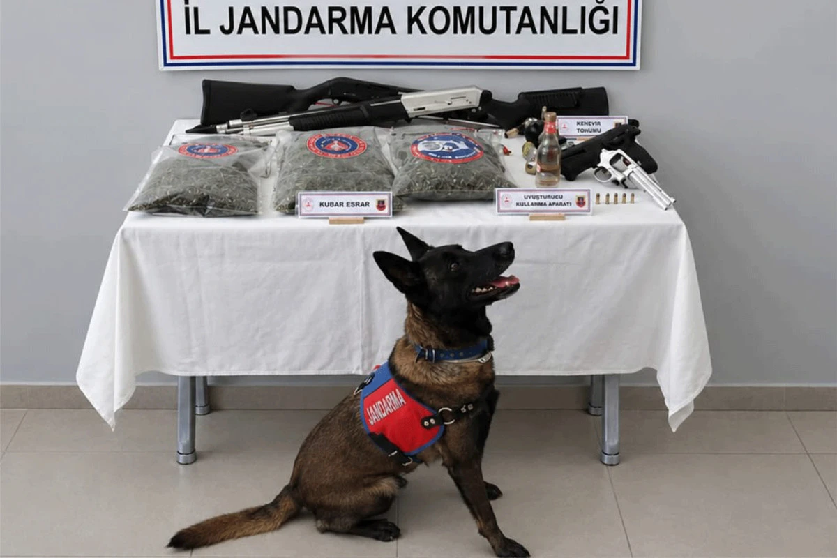 Beydağ&rsquo;da Jandarmadan Uyuşturucu Operasyonu: 10 G&ouml;zaltı