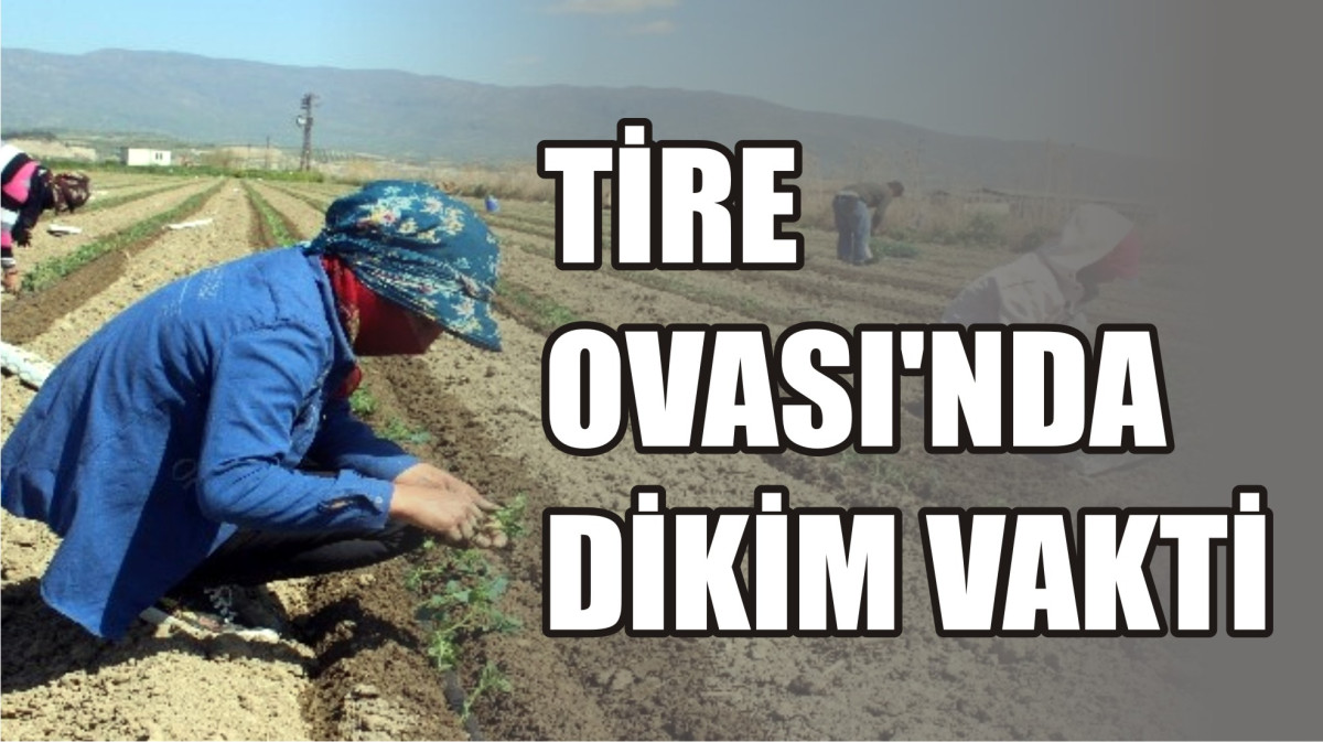 TİRE OVASI’NDA DİKİM VAKTİ