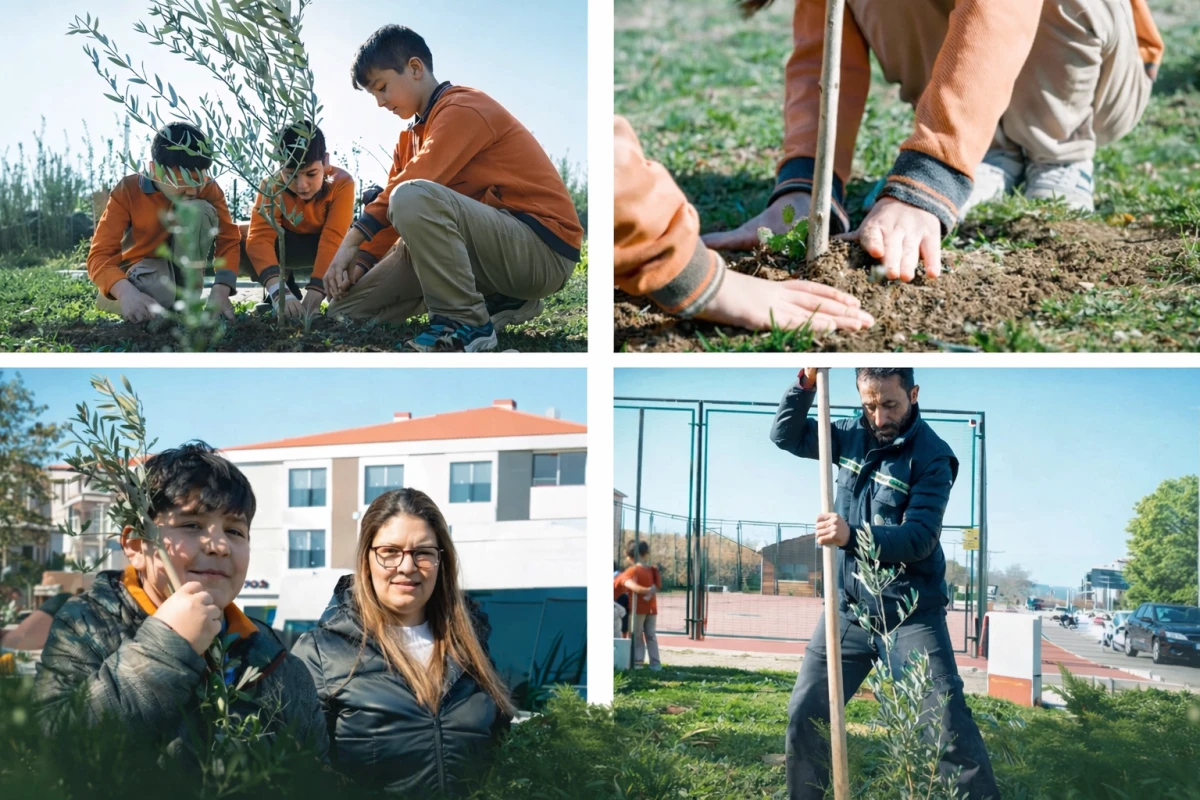 Tire&rsquo;de Geleceğe Yeşil Miras: Minik Eller Zeytin Fidanlarını Toprakla Buluşturdu