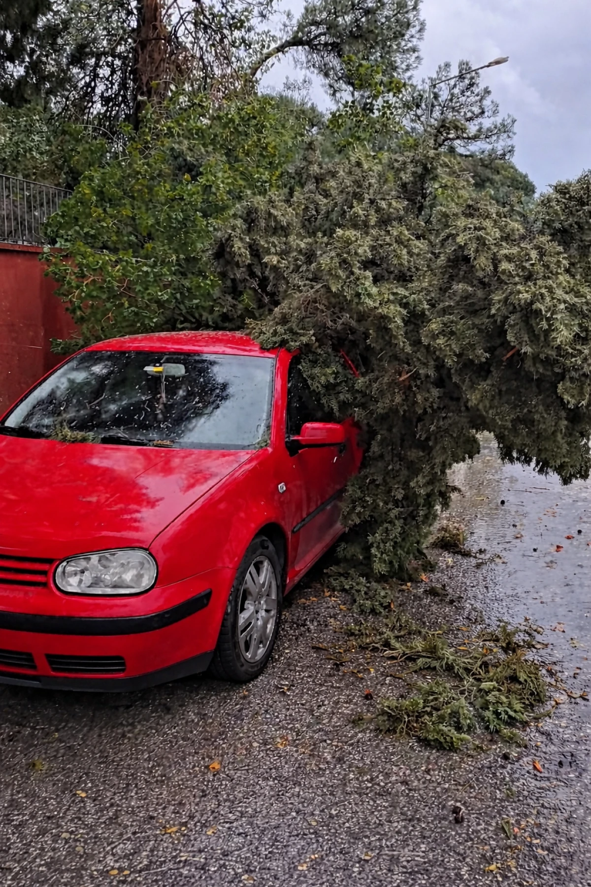Tire&rsquo;de Şiddetli R&uuml;zg&acirc;r Ağa&ccedil;ları Devirdi: 2 Ara&ccedil; Zarar G&ouml;rd&uuml;